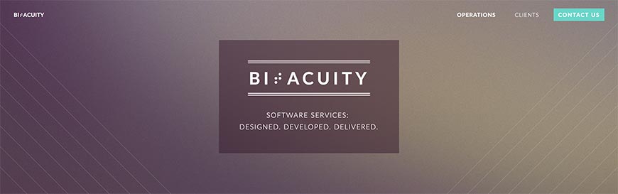 bitacuity website crawler