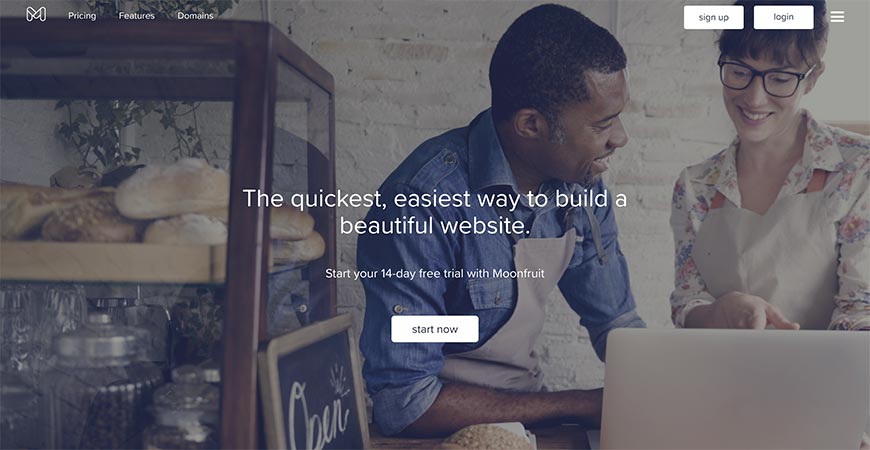 moonfruit website builder