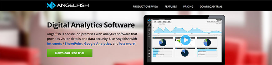 Angelfishstats