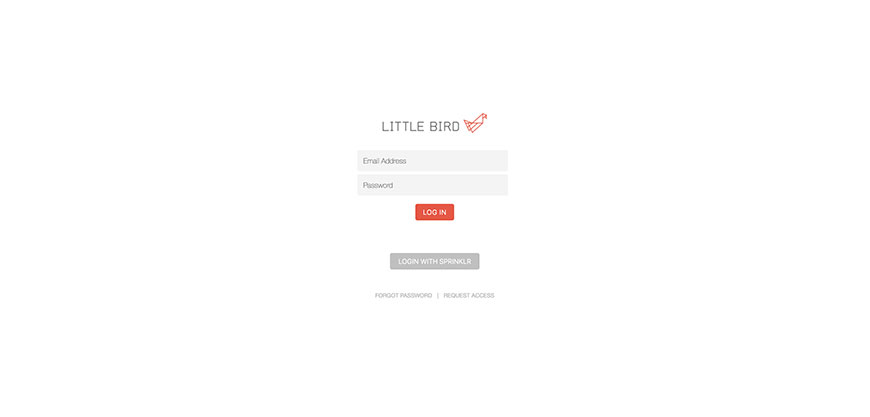 Little Bird