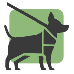 accessibility seizure