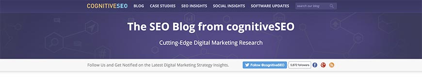 cognitiveseo seo blog