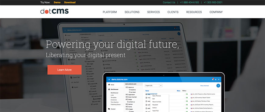 dotcms seo cms
